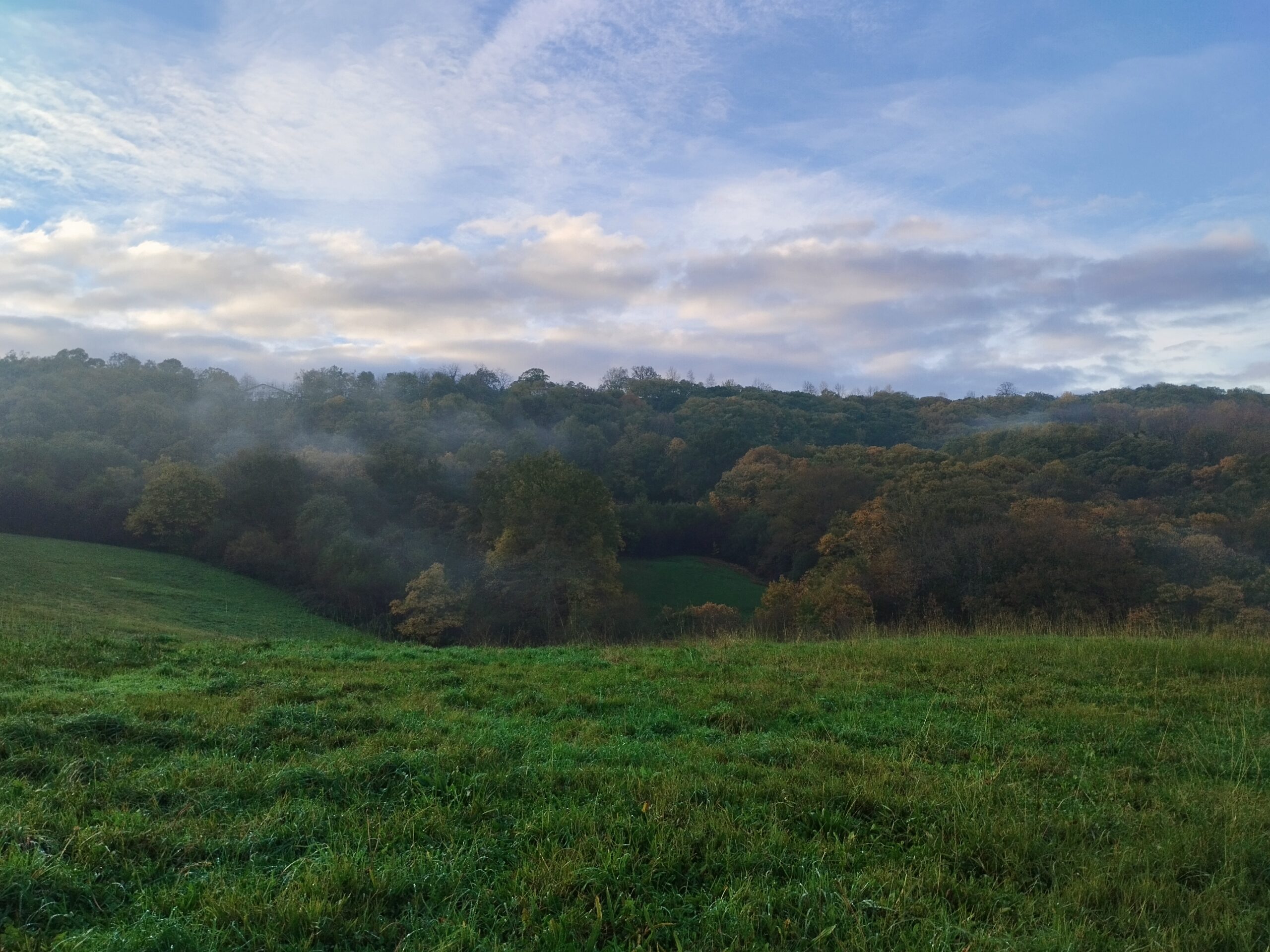 Montagne ferme pays basque